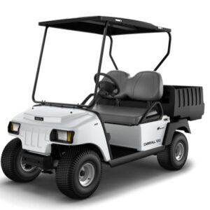 2023 CARRYALL 100 ELECTRIC - WHITE